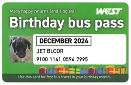 Birthday bus pass adult example