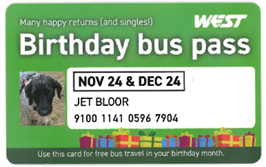 Birthday bus pass under 21s example