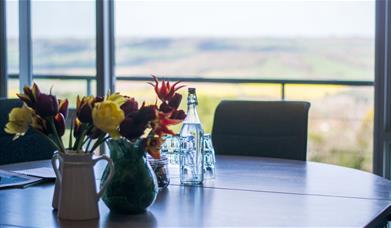 Flowers, vases with a view