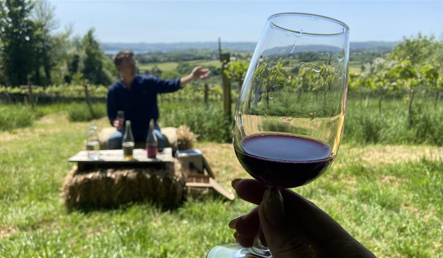 Wine tasting on hay bales