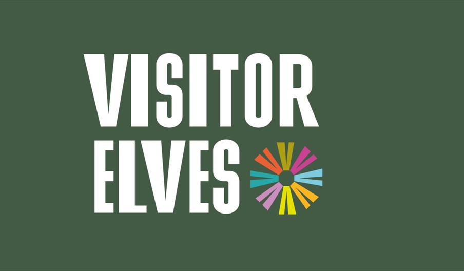 Visitor Elves