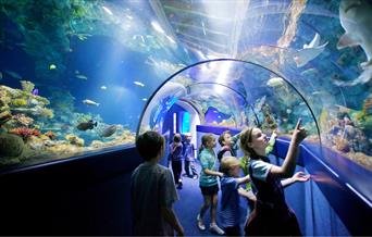 Bristol Aquarium 1