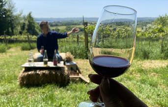 Wine tasting on hay bales