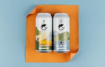 Two cans with orange background