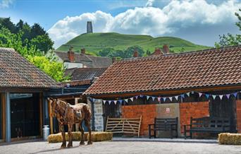 Somerset Rural Life Museum - Horse Sculpture and Barn