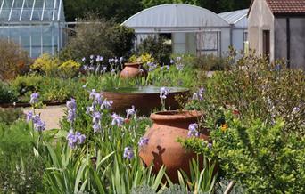 Jekka's Herb Garden