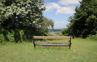 Bench on Clifton Down