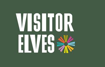 Visitor Elves