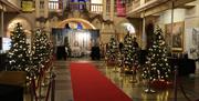 Christmas trees and red carpet