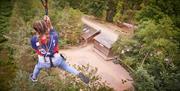 Go Ape Zip Wire