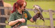 Noahs Ark Zoo Farm Keeper