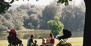 Family having a picnic