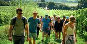 Group at vineyard