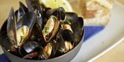 bowl of mussels