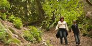 Visitors walking through the woods at Tyntesfield.