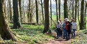 Visitors walking through Truckle Wood.