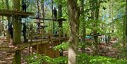 High rope course, trees