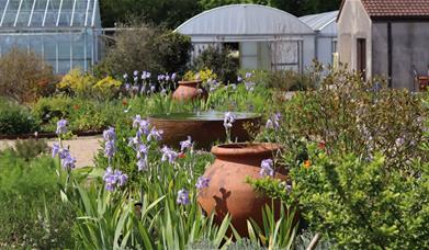 Jekka's Herb Garden