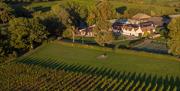 Take a Vineyard Tour with Wine Tasting at Aldwick Estate